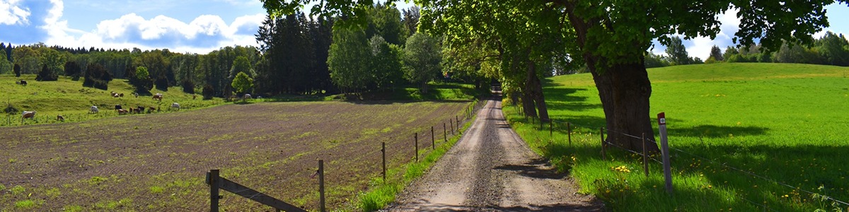 Mullsjö kommun