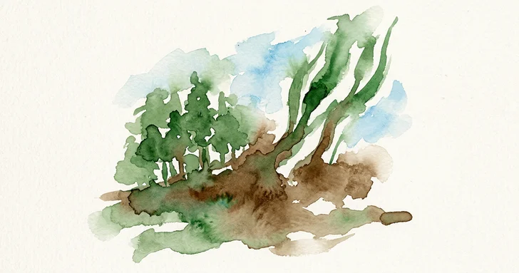 Grön talangbrist bromsar omställningen – dags att kapitalisera på din hållbarhetsprofil